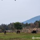 신의목장 이미지