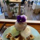 피오르디 젤라또 이미지