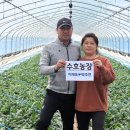 수호농장 이미지