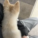 러브아지 이미지