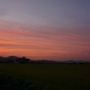 영암신세계자동차운전전문학원