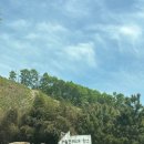 리틀포레스트 | 함안 리틀포레스트 대가족 단체 독채 풀빌라 방문후기