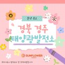 선명1태양광발전소 이미지