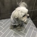 토곡동물병원 이미지