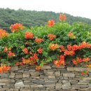 삼거리세차장 이미지