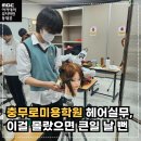 충무로헤어 네이버블로그