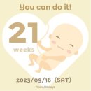 오복산전 이미지