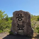 용늪마을 | (인제여행) 국내유일 고산습지, 국내최초 람사르습지: 대왕산 용늪 5월 탐방 리얼후기