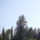 Walloper Lake Provincial Park 이미지