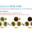 (주)옥샘코리아 네이버블로그