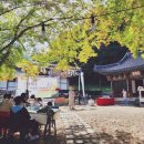 마곡사 야외무대 | 미니트러스 백드롭 마곡사 야외무대 렌탈후기