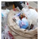 씨유 개화점 이미지