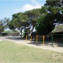 수산초등학교 이미지