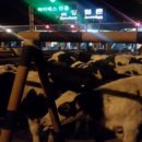 함창파출소 이미지