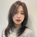 해운대 레이어드컷 잘하는 미용실 찾는다면?/ 카이정헤어 해운대점 리얼 후기