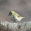 아름다운 머리방 이미지