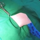 오션동물메디컬센터 이미지