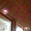 백천우리치과 | 송치마을 / 순천맛집 / 3대천왕맛집추천 돈가스 / 순천수제비 / 순천만습지 / 순천여행 / 경산백천우리치과