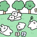 캄그루밍 이미지