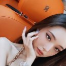 프리지아A 이미지