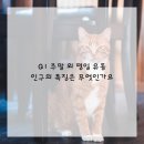 나혜석거리 네이버블로그