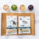 시니어펫 이미지