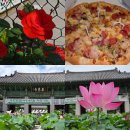 개일 | 봉은사 연꽃구경부터 프렌치 토스트 실패기까지