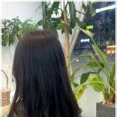 스타일헤어 이미지