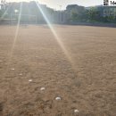 신백중학교 이미지