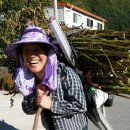 삿갓농장 이미지