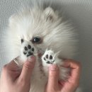 비전안경콘택트 | 시력,시기능검사까지 정확하게 해주시는 천안안경점 추천 [하늘비전안경콘택트]