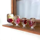 [10/10] 프리저브드 플라워 하바리움 - 원데이 클래스 이미지