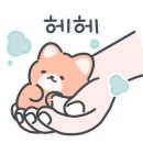 중앙동191 이미지