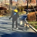 영등포공원 이미지