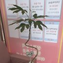 재성공인중개사사무소 이미지