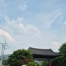 메가엠지씨커피서울대잔디 | 아기랑 서울대학교 캠퍼스 산책 & 돗자리 피크닉 왕곰돌이 스누베어 위치 찾아가는 법 공유