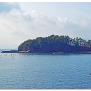 서포시장 이미지