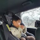 경북대 담장쪽 이미지