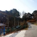 성덕초교 이미지