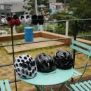 Zoom안경콘택트 이미지