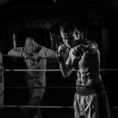 신동복싱 이미지