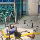 비금동초등학교 이미지