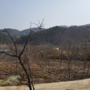 봉동공인중개사사무소 이미지