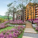 영월동강한우타운 이미지