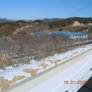 구억농장 이미지