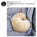 내가 침울해 하고 있으면 -가 -해준다 .twt 이미지