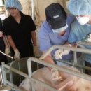 하나농축산농장 이미지