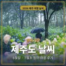 2026년 장마기간 제주도 날씨 6월 7월 여행 후기