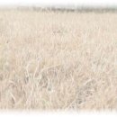 강남스크린 이미지