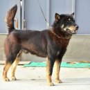 달아실 농원 이미지